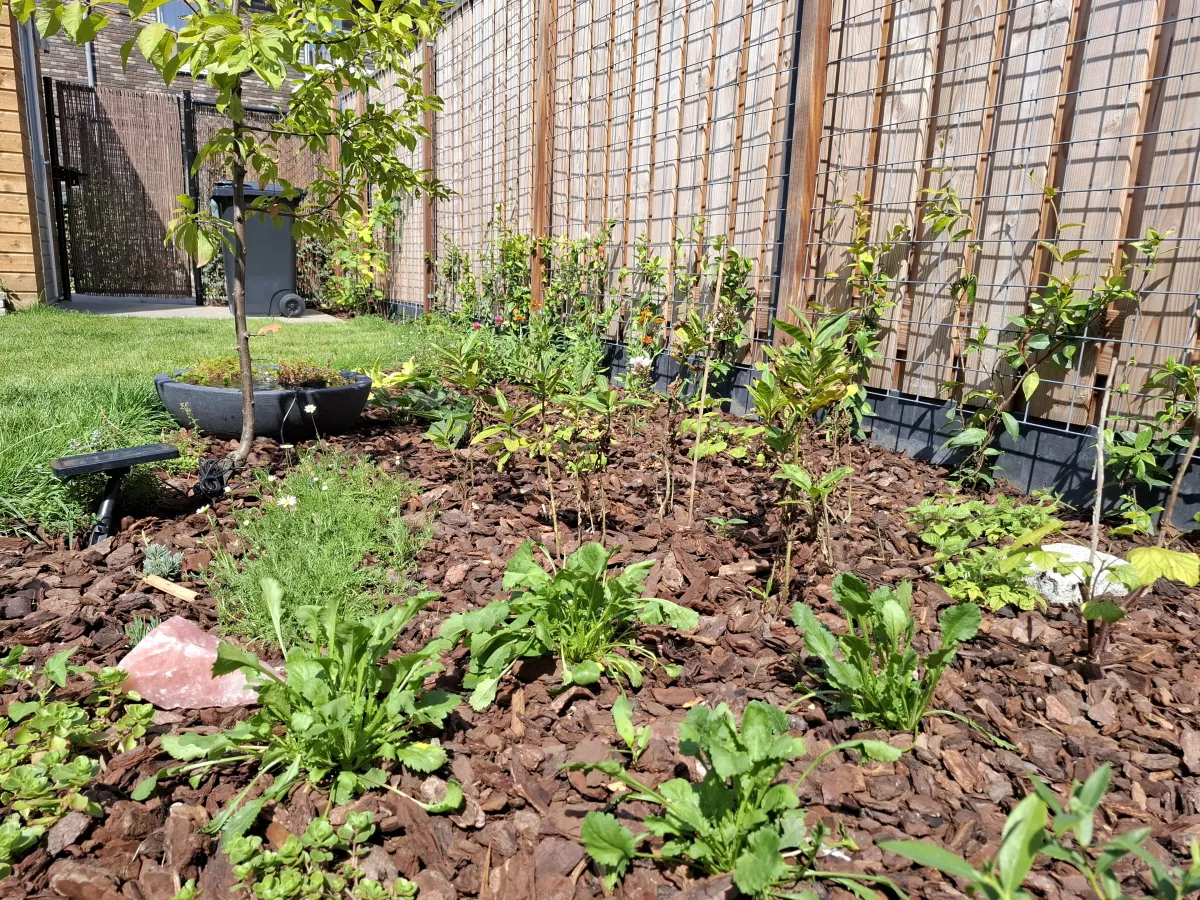 Beplantingsplan voor nieuwe tuin in Vlijmen