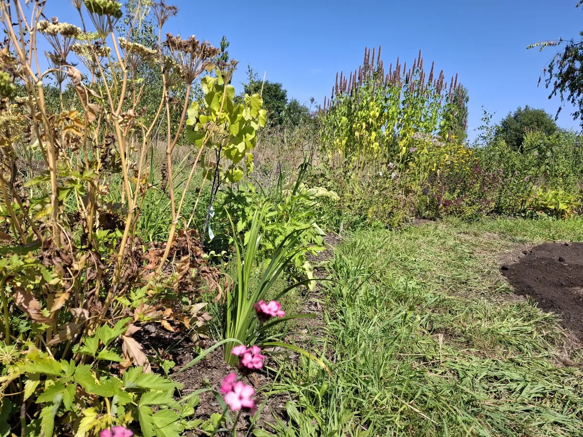 Pluktuin Klein Groenrijk
