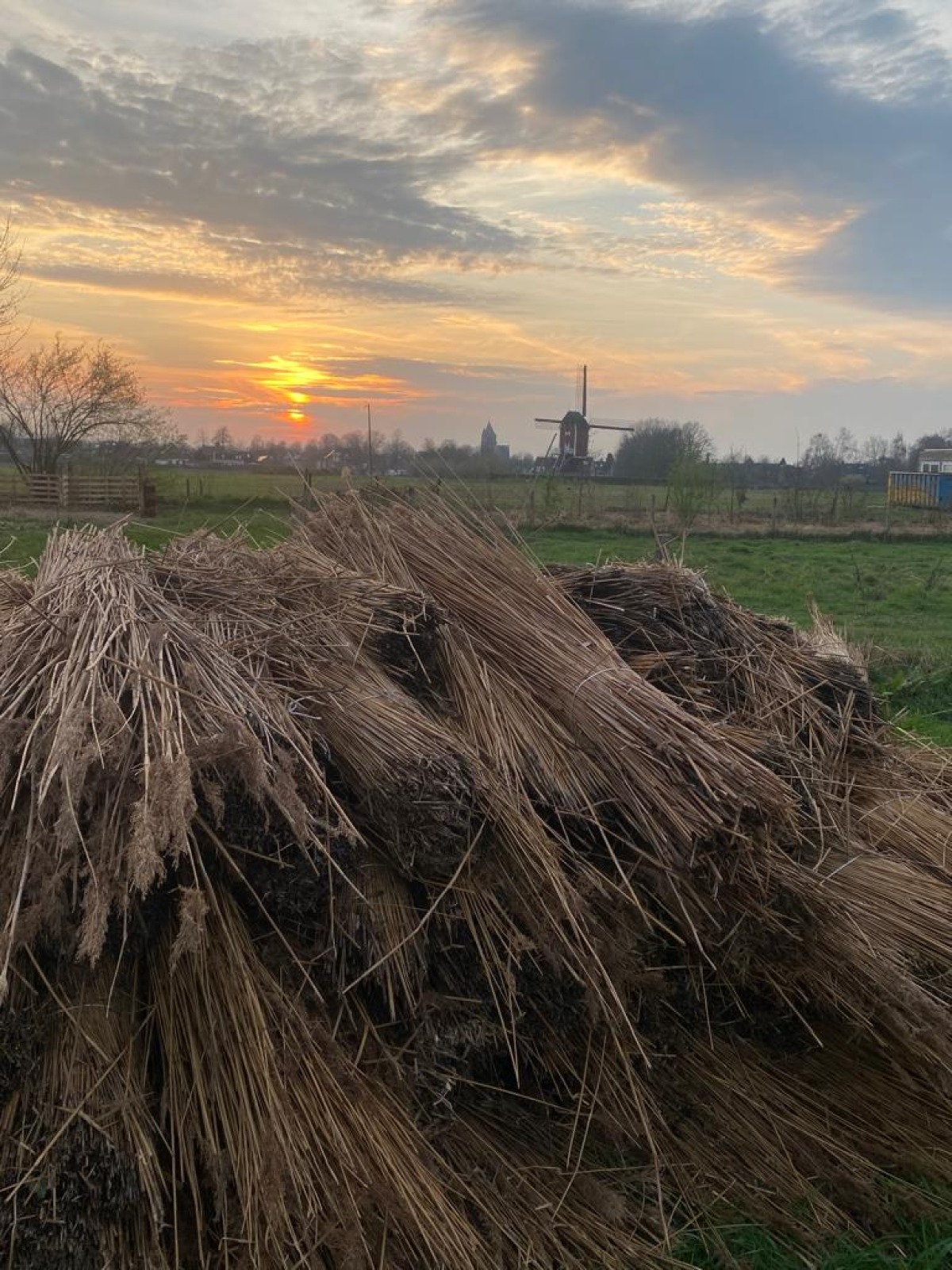 Voedselbos Green Heart Nature Farm