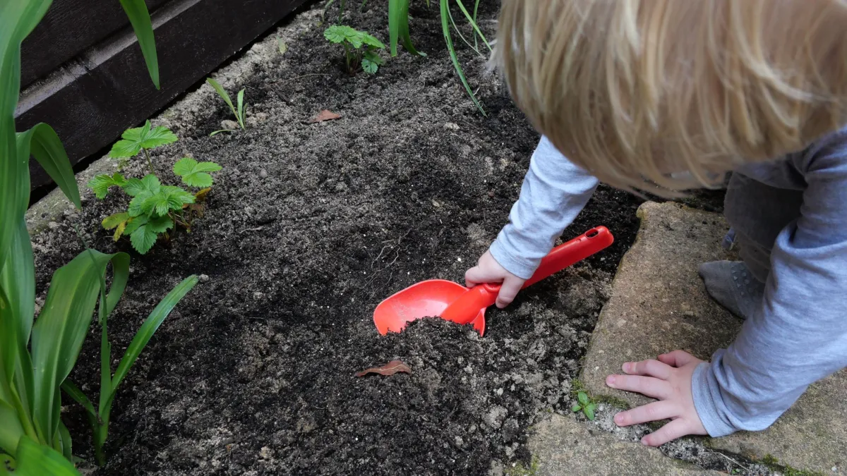 Eetbare patiotuin in Amsterdam
