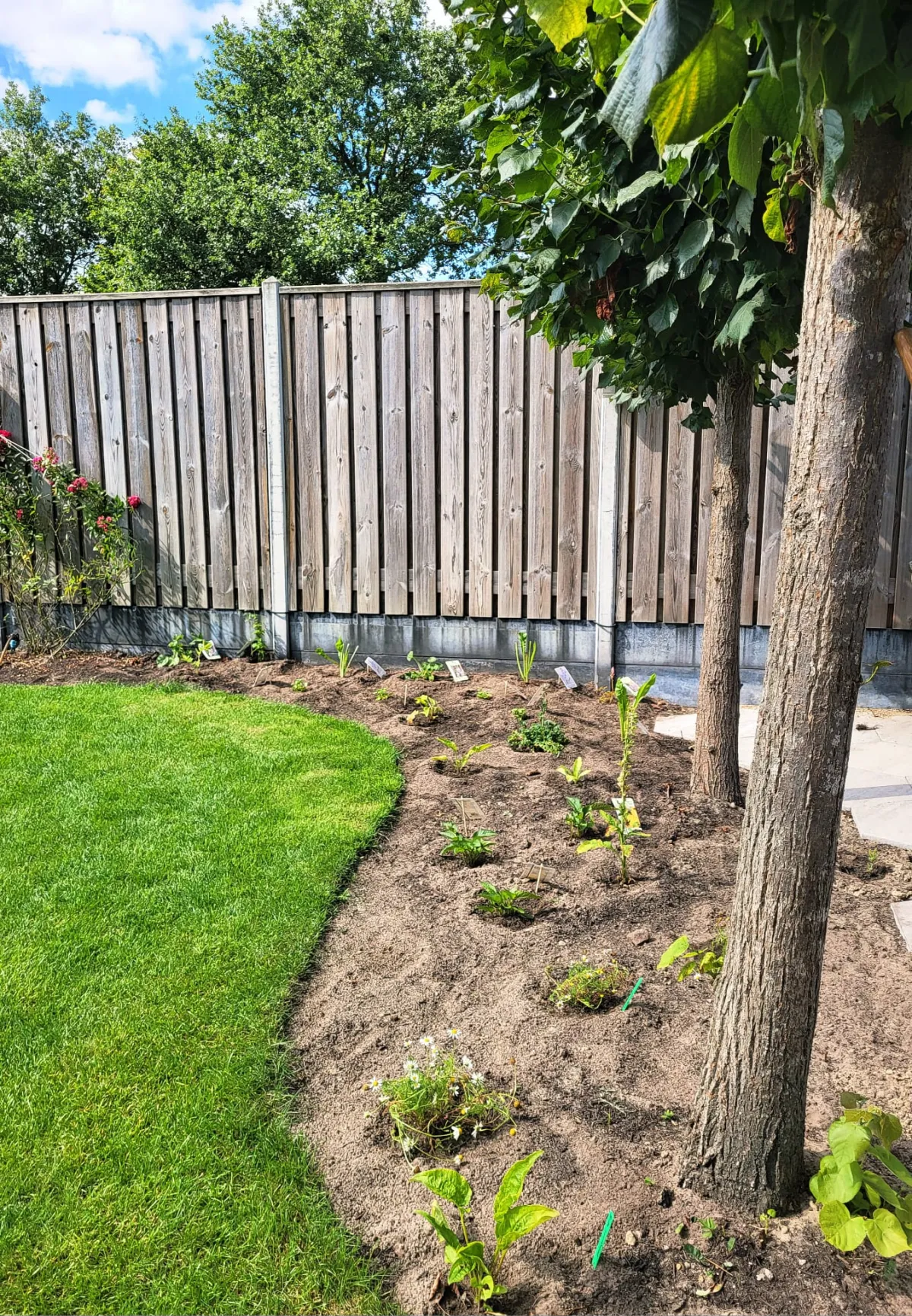 Gezonde planten voor een bosboerderij in Drunen