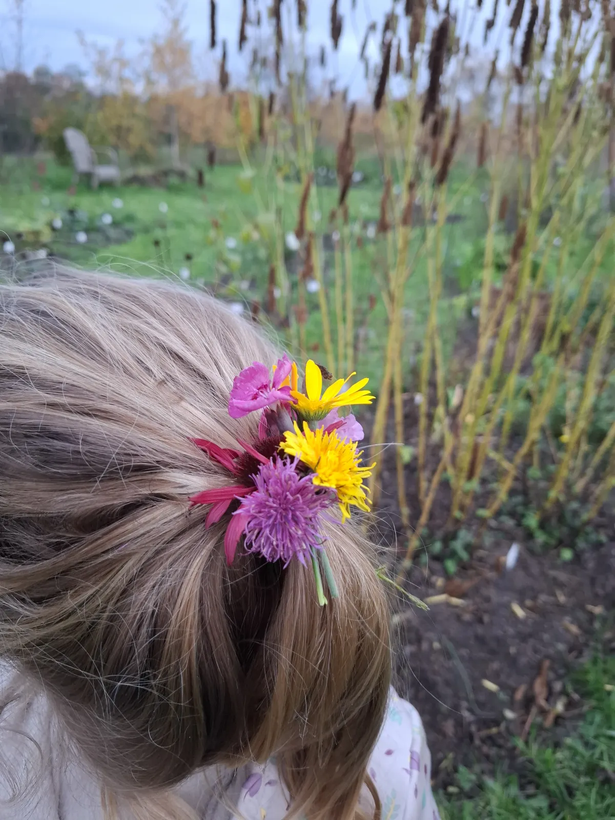 Pluktuin Klein Groenrijk