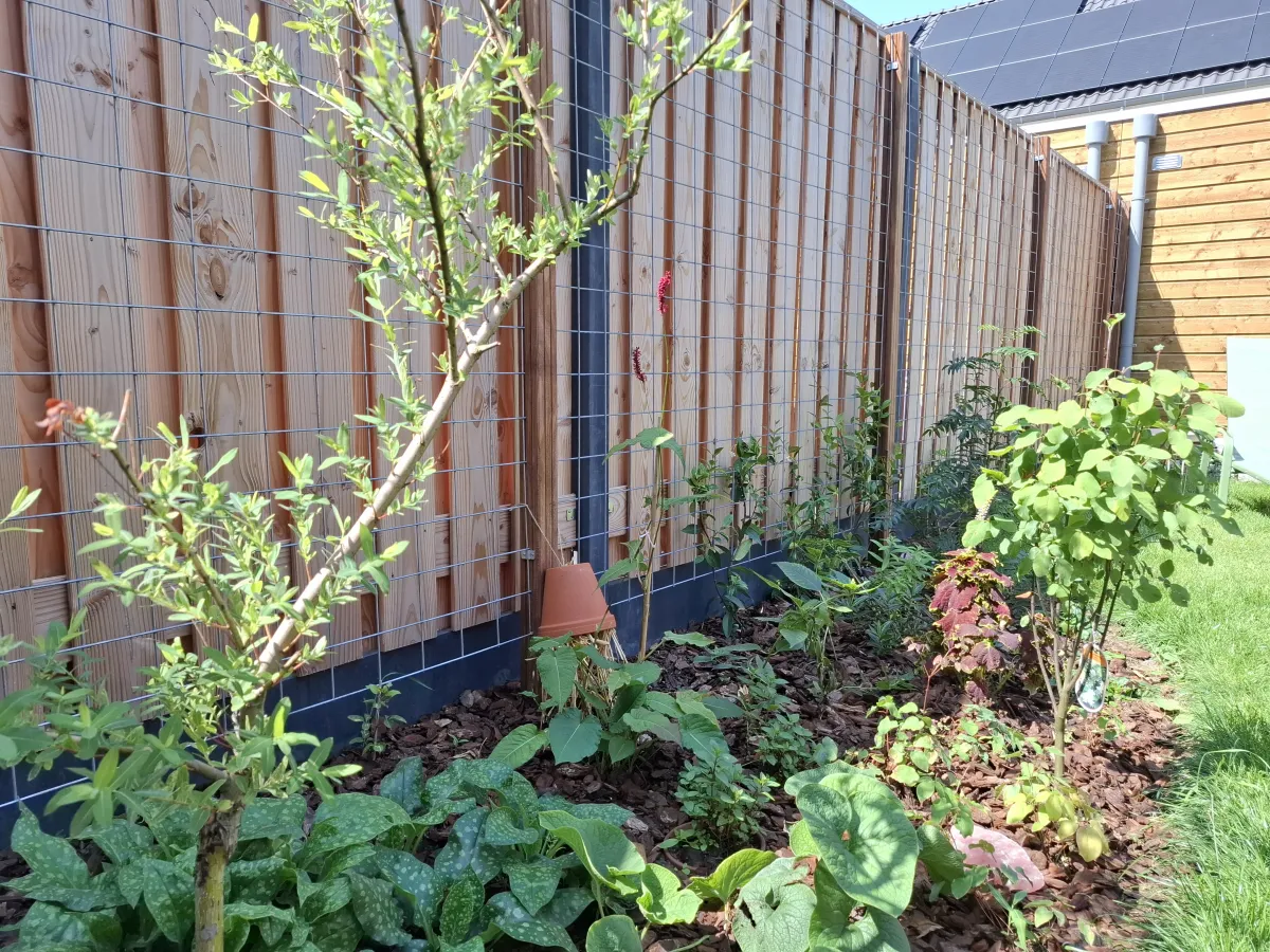 Beplantingsplan voor nieuwe tuin in Vlijmen
